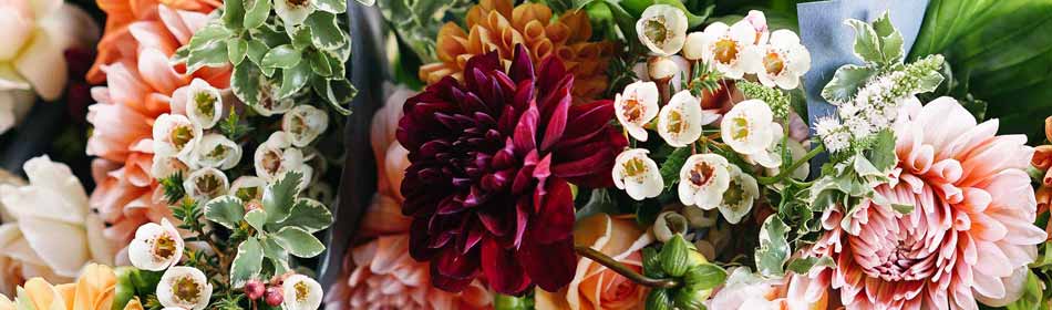Florists, Floral Arrangements, Bouquets in the Northampton County, PA area