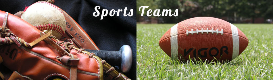 Sports teams, football, baseball, hockey, minor league teams in the Northampton County, PA area